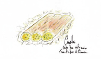 La recette de la semaine : canneloni crabe bleu, Criste Marine , tome de la ferme de Cinarca