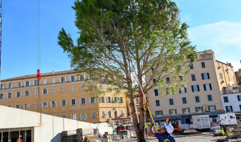 EVENTI E FATTI