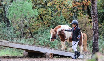 Equitation : Concours de Mountain Trail à Calvi, dimanche 29 septembre