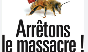 Le miel : victime d'un système dérégulé et de la crise climatique