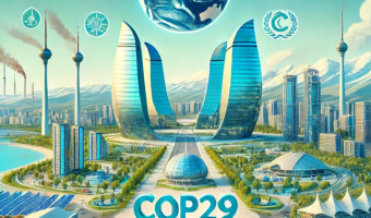 Le naufrage de la COP29