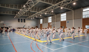 Les 30 bougies du Mugunghwa Taekwondo Corsica !