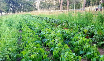 Sapè Fà : Ferme bio de Santa Giulia