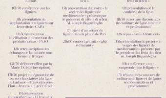 FESTU DI U FICU, Pari gagné : les 12, 13 et 14 Septembre