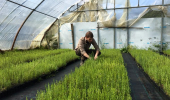 Sapè Fà : Corsica PAM ou les secrets des huiles essentielles